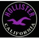 Parche Bordado HOLLISTER (Color VIOLETA)