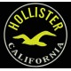 Parche Bordado HOLLISTER (Color AMARILLO)