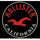 Parche Bordado HOLLISTER (Color ROJO)