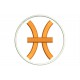 Parche Bordado SIGNO PISCIS (Bordado NARANJA / Fondo BLANCO)