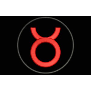 Parche Bordado SIGNO TAURO (ZODIACO)