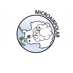 Parche bordado personalizado "MICROAIRPOLAR"